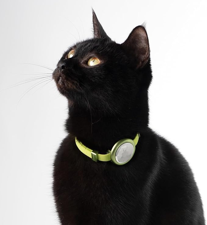 Safety Cat Collar Pro - U.S. IDA Gold Awarding Design, Elastic Quick Release Cat Collar with Buckle Non Breakaway - Lightweight for Kitten All Small Large Cats (Linen, M 7.9-15.7")