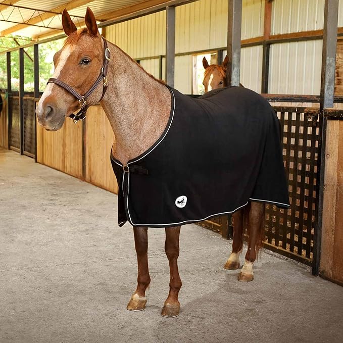 Jeffers Equine Elite Fleece Horse Cooler Blanket, 66 Inch – Soft, Adjustable Fit, Lightweight, Easy Care, Moisture Wicking Cooling Sheet with Surcingle for Post Exercise, Travel for Horses – Black