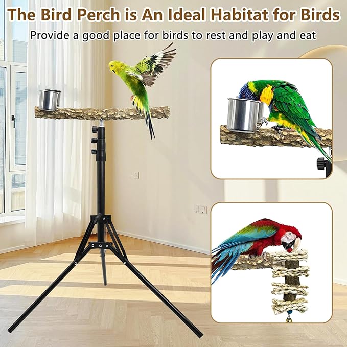 kathson 28-60inches Height Adjustable Bird Perch, Pepperwood Parrot Perch Stand with Feeding Cup, Multi-Purpose Bird Perches for Indoor and Outdoor Use, Designed for Small Medium Birds (3 PCS)