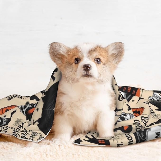 Dog Cat Blanket Double Sided, Halloween Witchcraft Witch Pumpkin Spider Web Bat Raven Magic Board Spirit Skull Skeleton Vintage Black, Plush with Raised Dot Pattern and Smooth Reverse for Cuddling