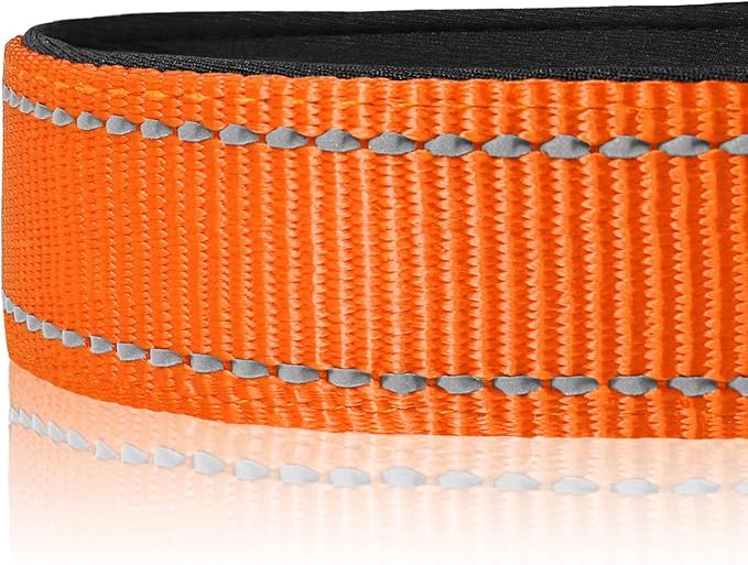 Joytale Reflective Dog Collar, Soft Neoprene Padded, Metal D-Ring, Nylon Pet Collar Adjustable for Large Dogs, Orange, L