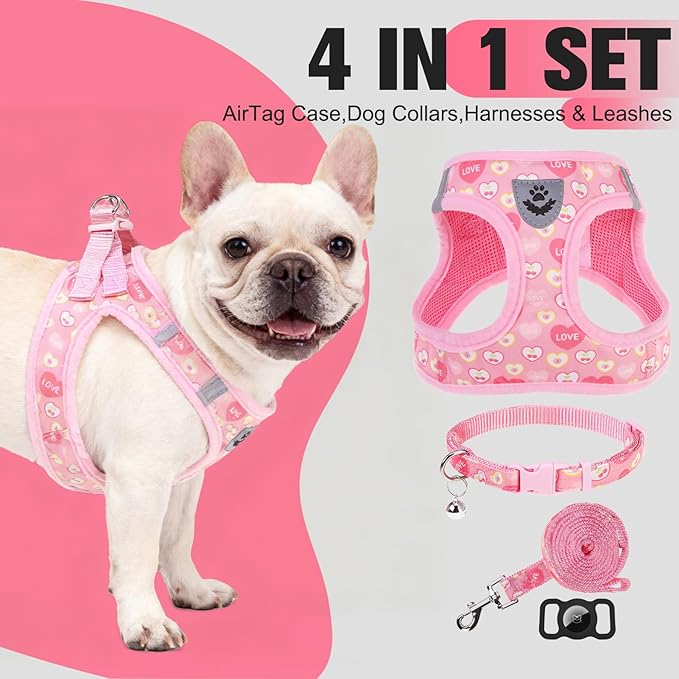 EXPAWLORER Small Dog Valentines Harness and Leash Set - Cute Puppy Harness Leash Dog Collar with AirTag Holder Silicone Case, Soft Padded Step in Pet Vest Reflective for Outdoor Walking, Heart S