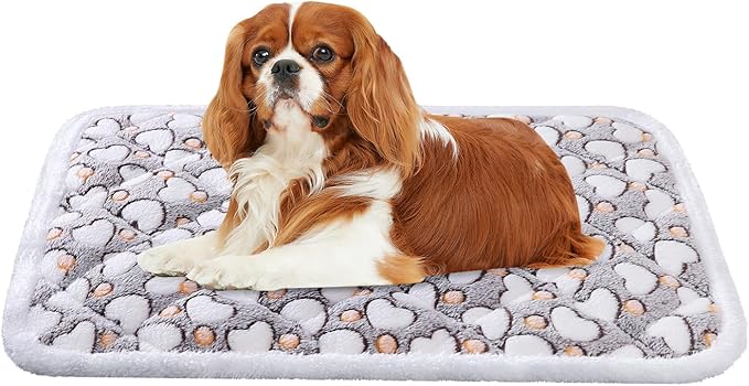 Dog Crate Mats, Soft Reversible Dog Bed Mat, Cat Mat - 24x16 Inch, Short Plush Pet Mat Crate Mat for Small Dogs, 0.6-inch Thick Thin Dog Mat, Machine Washable Ideal for 24-Inch Dog Crates
