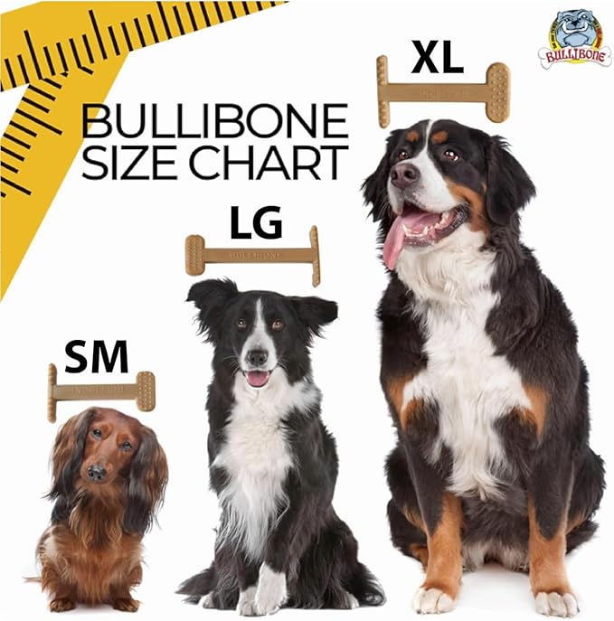 Bullibone Nylon Dog Chew Toy for Aggressive Chewers - Dental Hygiene Bone with Peanut Butter Flavor, Durable Tough Chew Toys for Large Dogs, Indestructible Dog Bone - 2 Pack