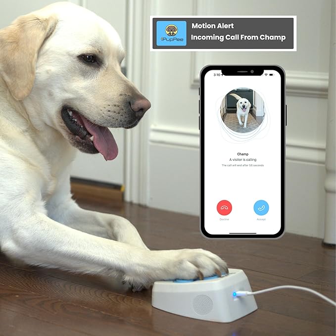 Dog Potty Training Talking Button & Service Dog Medical Alert System. Instant Notifications. 24/7 Live Camera. 2-Way Speaker. iOS & Android Compatible. No Subscription Needed.