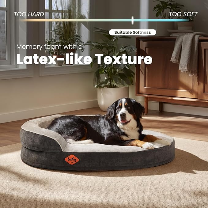 Laifug Memory Foam Oval Dog Bed (31x21x7Inches, Grey), Orthopedic Dog Bed for Dogs with Durable Waterproof Liner & Removable Washable Cover & Nonskid Bottom