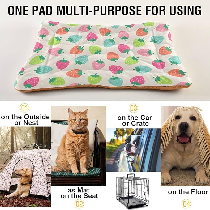 Strawberry Fruits Pet Bed Cute Dog Bed Mat Absorbing Non Slip Pad Pet Sleeping Mat for Small, Medium, and Large Dogs Puppy Cat 24 in x 18 in