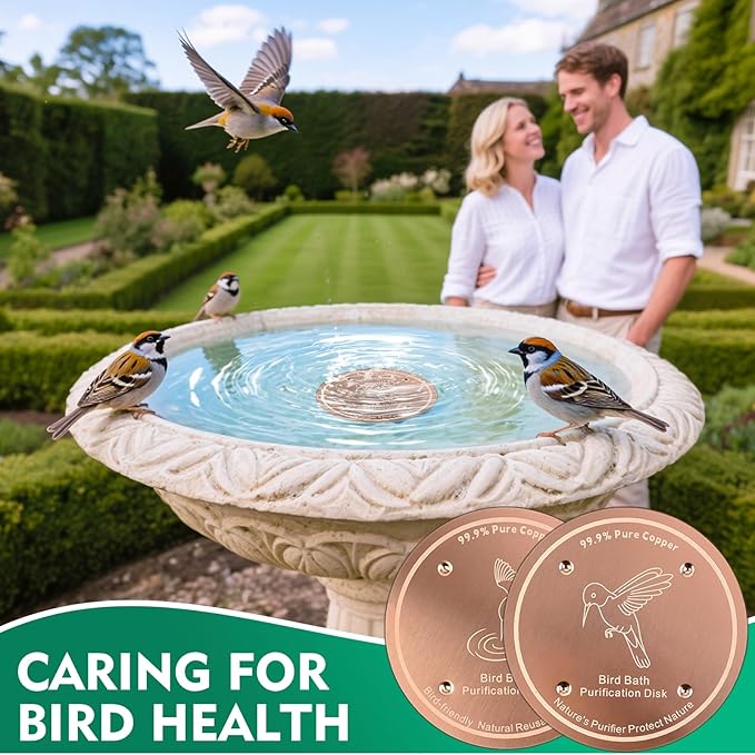 1 Pcs Copper Disc for Bird Bath | 99.99% Pure Copper Plate & Birdbath Disk | 0.6mm Thick Reinforced Design | Maintains Clean Water Naturally | Fits All Birdbath Bowls Year-Round (Bird Style 4)