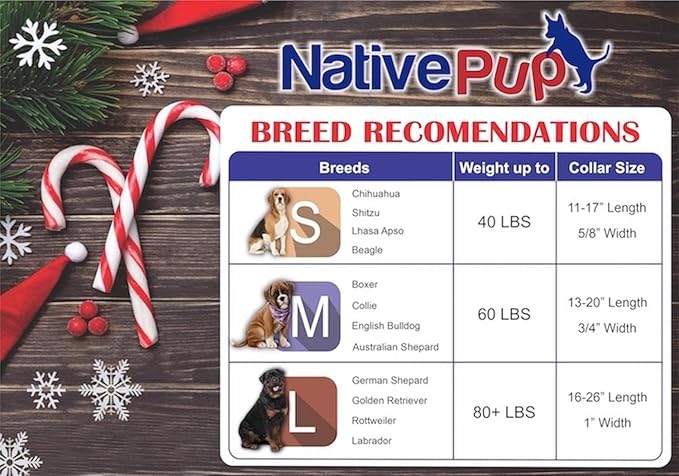 Native Pup Christmas Dog Collar- Winter Holiday Collars for Pets- Xmas Gift for Puppy- Santa, Reindeer, Snowman, Candy Cane, Red Green- Girl Boy- Small, Medium, Large Breeds(Snowman, Large)