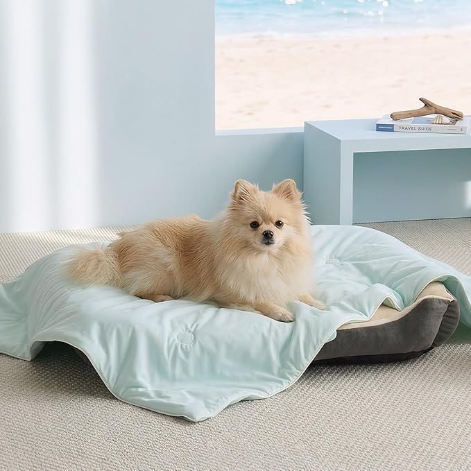 Soulbond Cooling Blanket for Large Dogs - Q-MAX>0.45, Washable Cool Pet Cats Throw Blanket for Hot Weather, Self-Cooling Soft Dog Mat for Bed Crates Couch Sofa Cars(40"x50", Aqua Green)