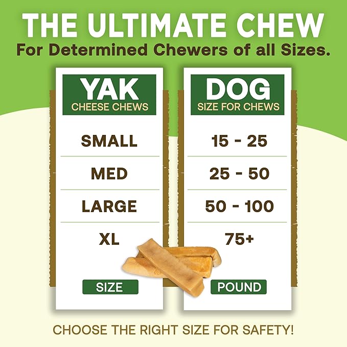 EcoKind Pet Treats Gold Himalayan Yak Cheese Dog Chew, Yak Dog Treats for Active Chewers, 100% Natural & Healthy Chew Sticks for Small & Large Dogs, Small Yak Cheese Sticks (8 Chews)