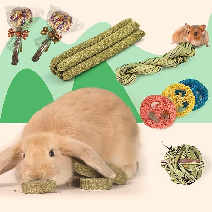 Rabbit Chew Toys for Teeth, 16PCS Natural Timothy Hay Chew Toy, Improve Dental Health for Bunny/Chinchilla/Guinea Pig/Hamsters/Holland Lop, Small Rodent Pet Molar Teeth Treats Toys