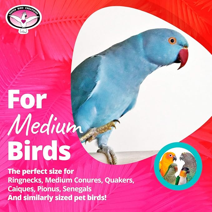 Super Bird Creations SB1098 Palm Star Bird Toy for Parrots, Ringnecks, Medium Conures, Quakers, Pionus, Senegal - Leaves, Colorful loofa, Mahogany Pods Vine Stars - Medium Bird Size, 13" x 3.5" x 3.5"