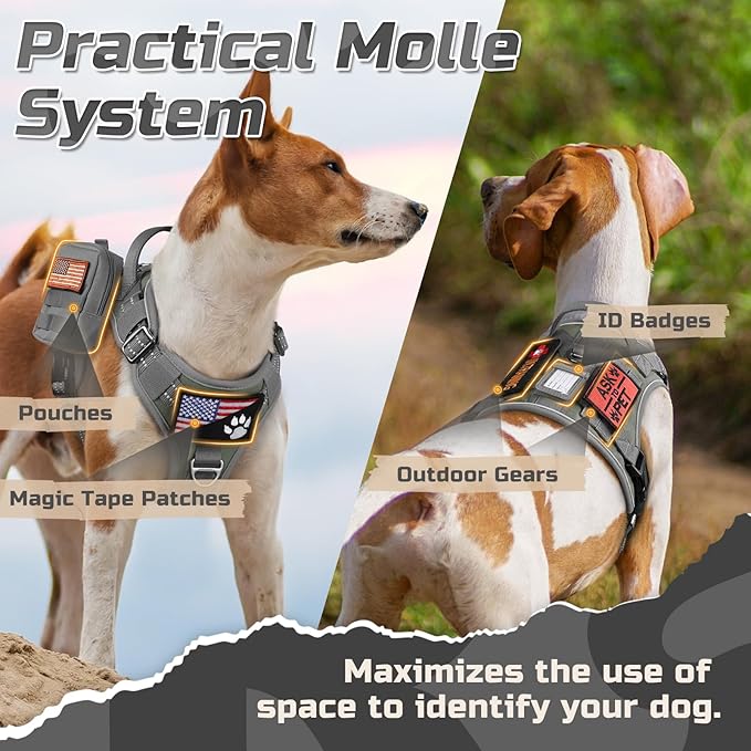 rabbitgoo Tactical Dog Harness Medium Sized Dog, No Pull Military Service Vest with Handle & Molle, Easy Control for Training Walking, Adjustable Reflective Straps, Dark Grey, M