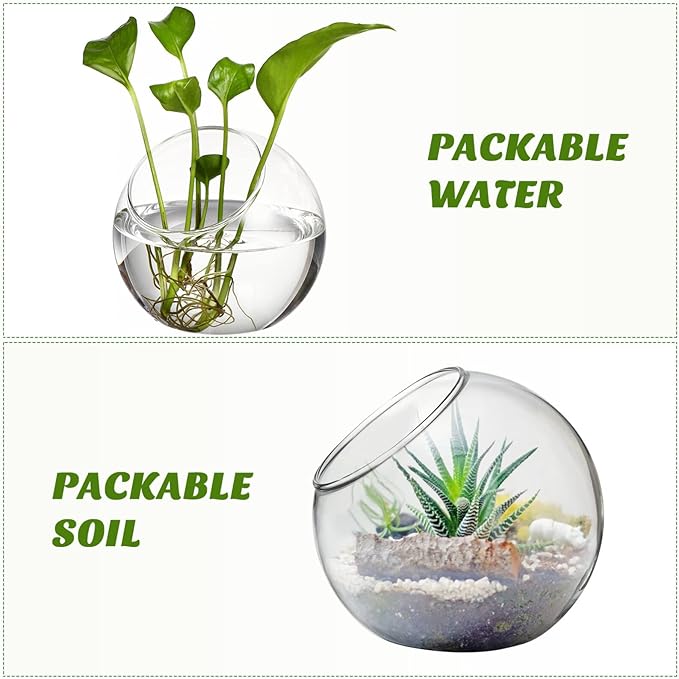 balacoo 3 Pcs Glass Terrariums Bowl for Plants, Terrarium Jar for Air Plant Clear Globe Vase Glass Bowl for Home Desktop Decor