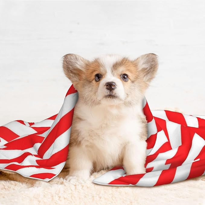 Reversible Pet Blanket for Sofa Protection Pet Comfort, Red White Stripes Christmas Candy Cane, Double Sided Design with Cozy Nubby Nap Side and Durable Smooth Play Side