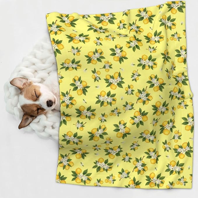 Pet Blanket for Indoor Outdoor Use, Buds Ripe Fruits Lemons Flowers White, Two Sided Reversible Plush Mat with Bumpy Dot Texture for Patios Crates Portable Bed Companion