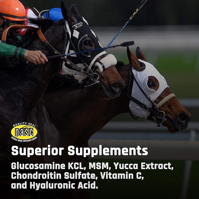 Majesty's Biotin Wafers - Superior Horse / Equine Hoof and Coat Support Supplement - Copper, Zinc, Lysine, Methionine - 30 Count (1 Month Supply)