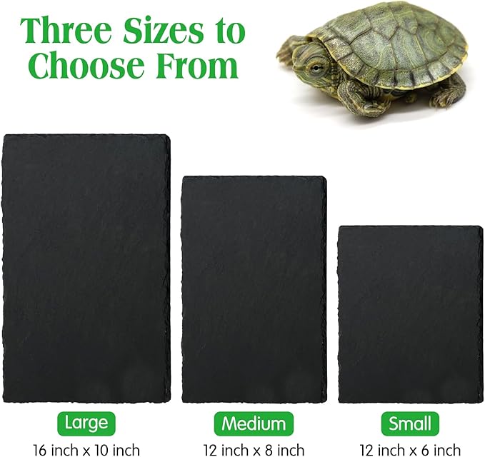 Tfwadmx Reptile Basking Platform Tortoise Feeding Dish Natural Rock Food Bowl Landscape Habitat Decor for Turtle Lizard Bearded Dragon Crested Gecko Snake 2Pcs