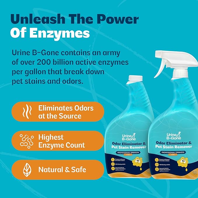 Urine B-Gone, Professional Enzyme Odor Eliminator & Pet Stain Remover, Human, Cat & Dog Urine Cleaner, Effective on Laundry, Carpets & More, Citrus Scent, 32oz, Pack of Two