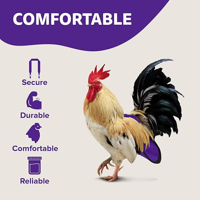 Hen Holster Bird Diaper, Wrap Around - for Hens, Roosters, Ducks, Leak-Proof Design, Comfortable Fleece Strap Bird Harness with Sewn-in Liner, Secure Hook and Loop Closure - Large, Purple