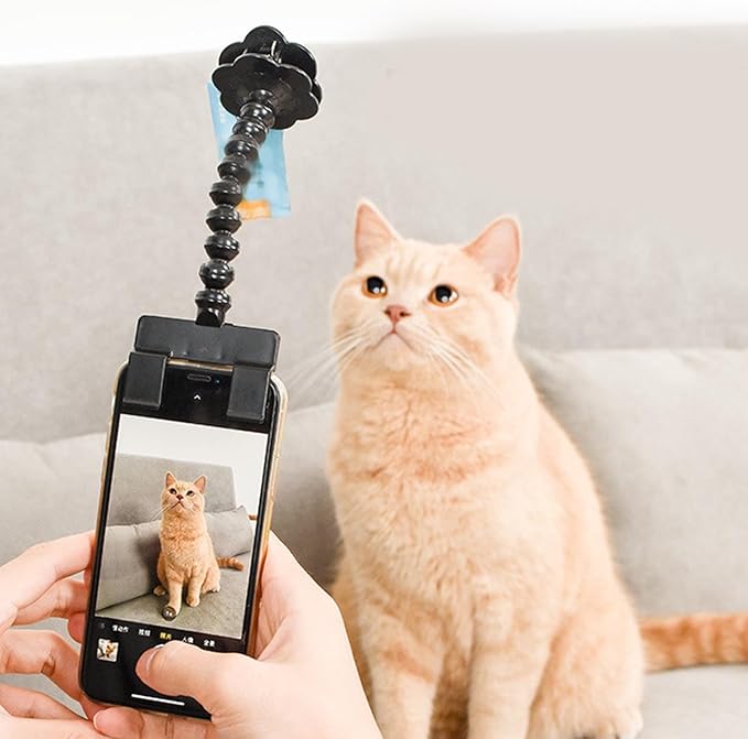 Pet Photography Artifact Dog Selfie Treat Clip Cat and Dog Looking Lens Camera Toy Cell Phone Camera Holder Selfie Clip Supplies for Phone Camera