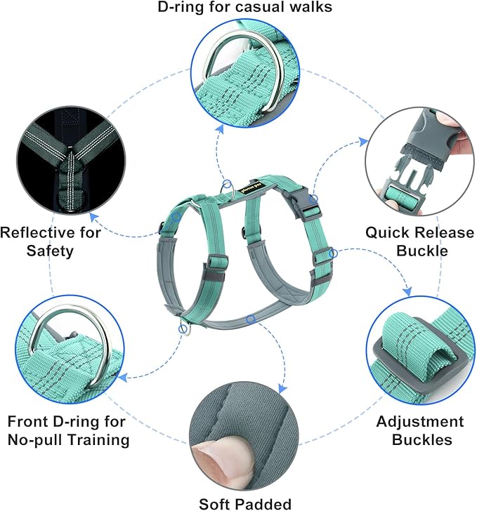 Plutus Pet No Pull Dog Harness, Adjustable Nylon Harness with Soft Padding, Reflective and Heavy Duty Dog Harness for Small, Medium, Large Dogs(Teal, XS)