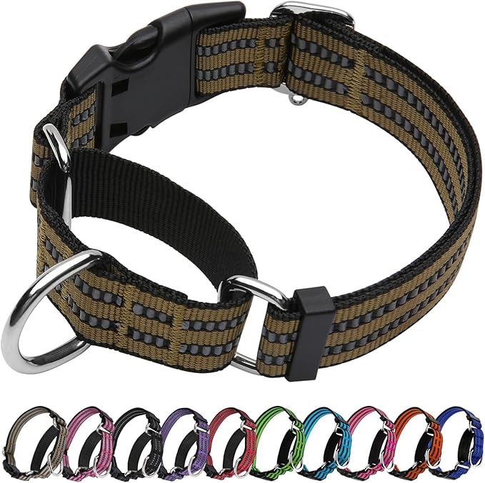 Martingale Dog Collar, Adjustable Nylon Reflective Collar with Buckle No Pull Dog Collar for Small Medium Large Dogs (Army Green S)