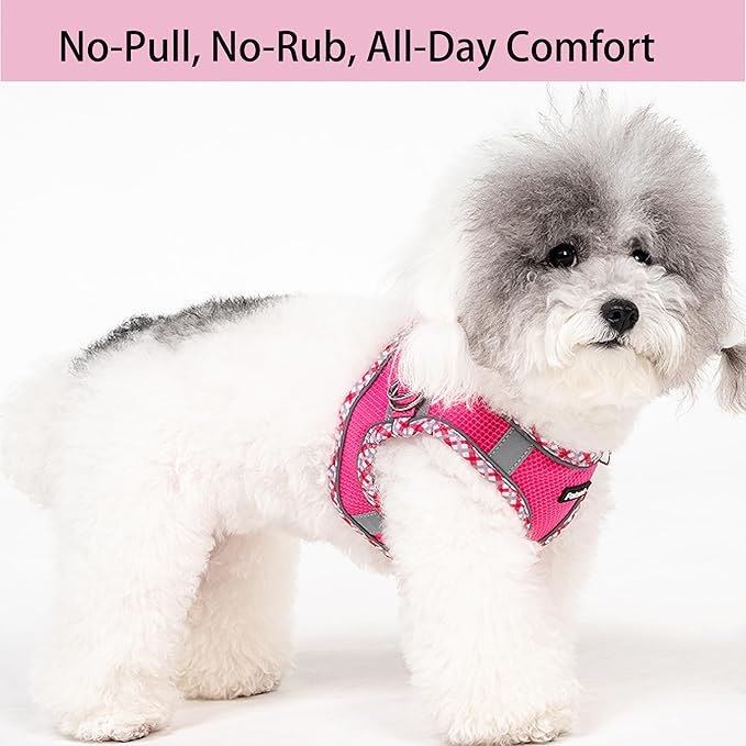 Petank Dog Harness for Small Medium Dogs No Pull, Puppy Harness and Leash Set for Walking, Running, Training, Small Dog Harness, Medium Dog Harness (Rose Red, L)