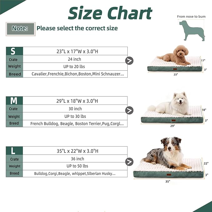 Orthopedic Dog Bed with Firm High-Density Egg Crate Foam Mattress,Soft Short Plush Surface Pet Beds,Machine Washable with Removable Cover & Non-Slip Bottom for Small Breeds (Green, 23"L x 17"W x 3"H)