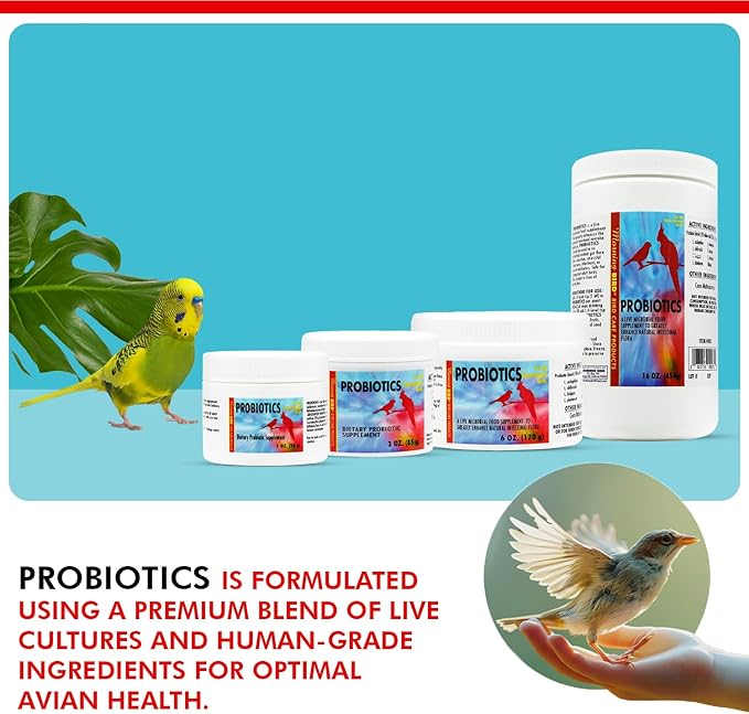 Morning Bird Probiotics for Birds 3 oz – Digestive Health Supplement Supporting Gut Balance, Nutrient Absorption & Immune Support – Easy Mix Powder Supplement for All Bird Species