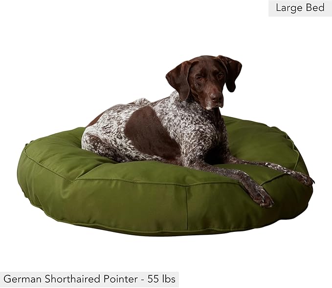 Gordie Round Indoor/Outdoor Pillow Style Dog Bed, Juniper, Large