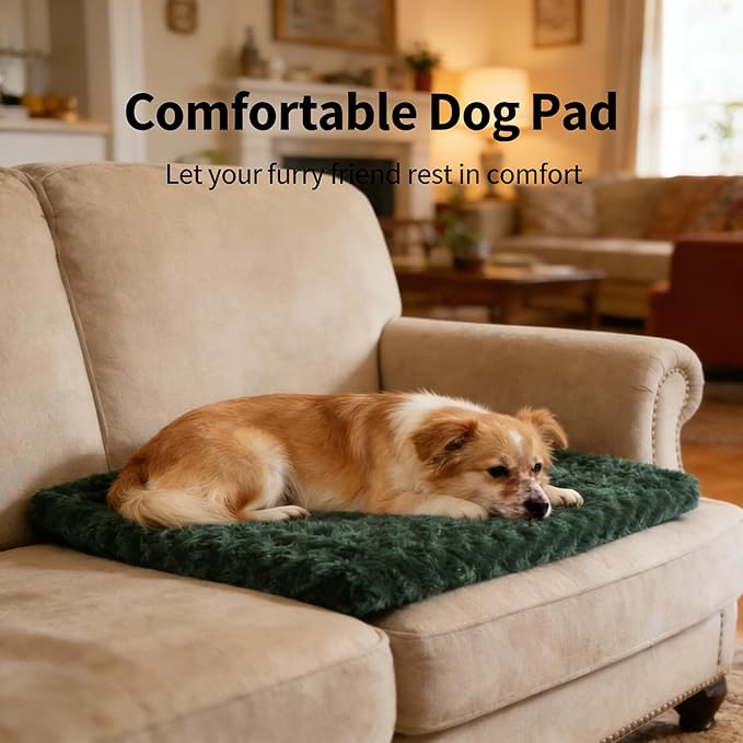 Dog Crate Bed Pad – Reversible Fleece Mat for Small, Medium, Large Dogs – Soft & Washable Anti-Slip Dog Bed Mat for Cages and Kennels – Comfortable, Durable Sleeping Pad for Dogs, Green, S