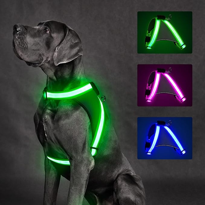 ChalkLit Light Up Dog Harness, No Pull Led Dog Harness Glow-in-The-Dark for Night Walking, USB Rechargeable Lighted Safety Vest for Medium Large Dogs, Adjustable Soft Mesh Fully Illuminated (Green, M)
