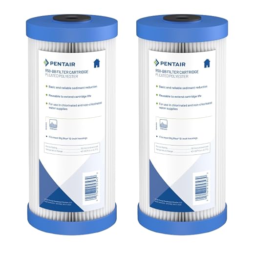 Pentair Pentek R50-BB Big Blue Sediment Water Filter, Whole House Pleated