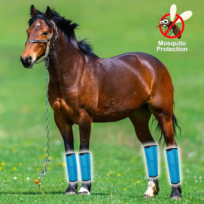 FOXLVDA Horse Fly Boots - Fly Boots for Horses Set of 8, Comfortable Horse Leggings, Mesh Material Design with Metal Support Bars for Reduces Stomping & Leg Fatigue (Blue-Purple, Large)