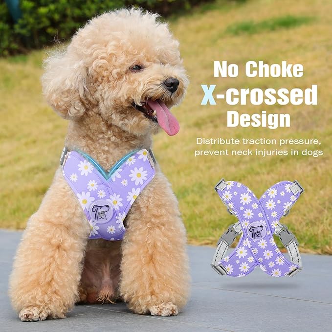 Pawaboo Small Dog Harness and Leash Set, Puppy Harness X-Frame No Pull No Choke, Dog Vest Harness Adjustable for Small Medium Sized Dogs,Soft Breathable Pet Harness for Walking Outing, M, Purple Daisy