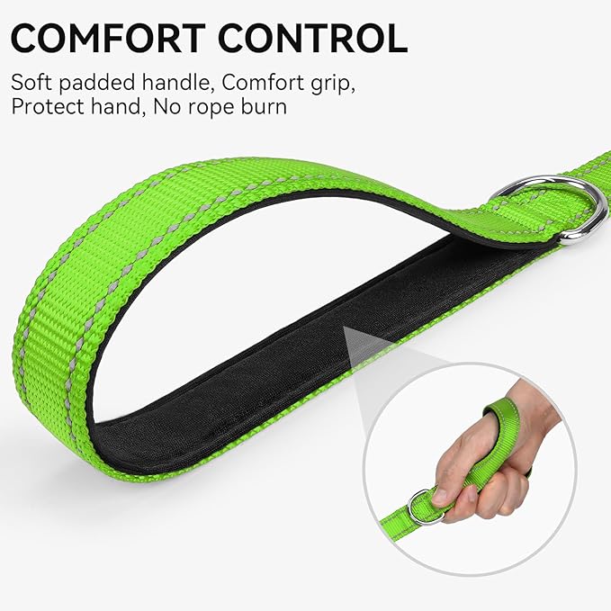 Joytale Dog Leash, 4 FT Double-Sided Reflective, Padded Handle Nylon Heavy Duty Leashes for Small Dogs Walking, Green