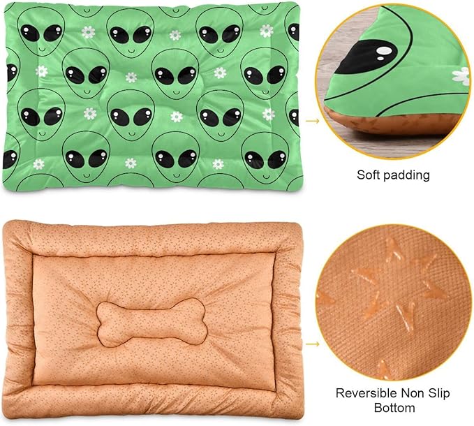 Pet Bed Green Alien Cartoons Daisy Flower Dog Bed Mat Absorbing Non Slip Pad Pet Sleeping Mat for Small, Medium, and Large Dogs Puppy Cat 36 in x 24 in