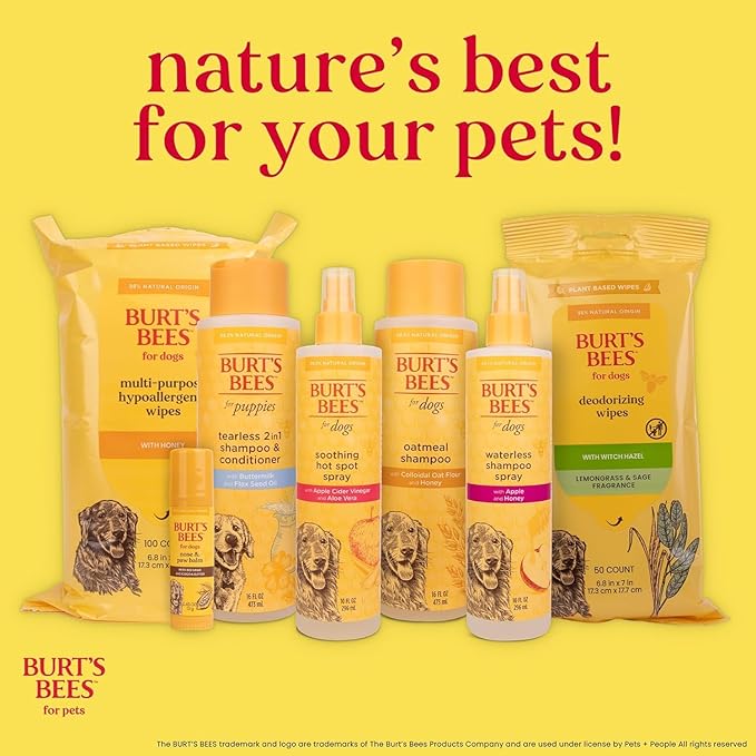 BURT'S BEES FOR PETS Dog Paw and Nose Lotion with Rosemary and Olive Oil, Moisturizing Paw Balm for Dry Cracked Pads and Dog Nose Butter Moisturizer, Paw Lotion for Dogs Skin Care, 4 Fl Oz
