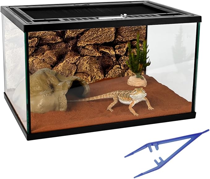 Reptile Glass Tank 16"x11"x9" Terrarium with Top Opening and Screen Ventilation for Leopard Gecko,Lizard,Hermit Crab,Snake,Spider,Frog,Bearded Dragon,Turtle with Feeding Tongs