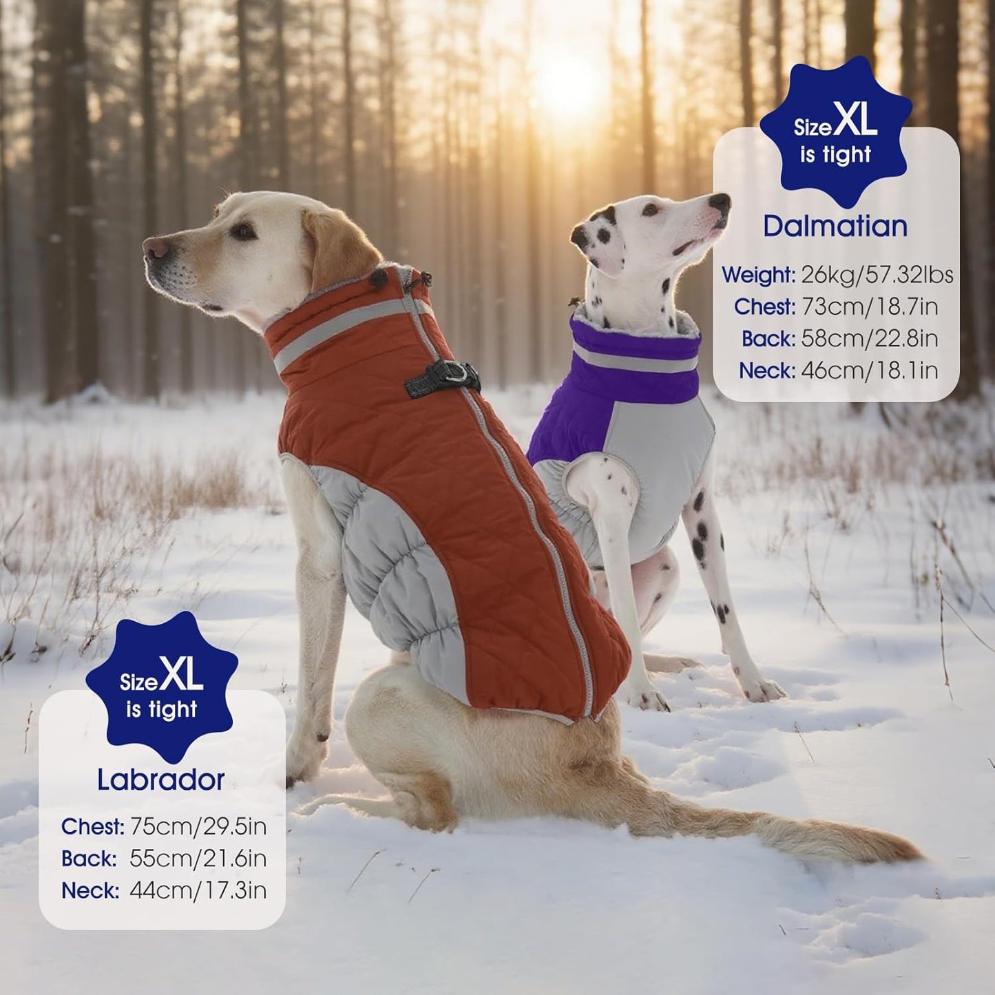 FUAMEY Dog Coat for Medium Dogs,Waterproof Dog Winter Jacket with Harness Built in Puppy Cold Weather Coats Reflective Pet Vest with Zipper Warm Fleece Dogs Snowsuit Windproof Purple M