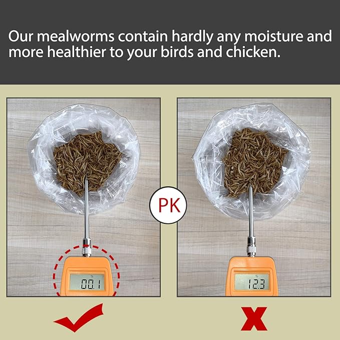 Non-GMO Dried Mealworms,5LB 100% Natural Large Size No Moisture,Treats for Birds Chickens Hedgehog Hamster Fish Reptile Turtles (Wrong Packing Label Used)