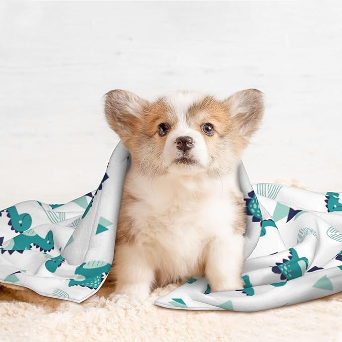 Reversible Plush Dot Pet Blanket for Dogs and Cats, Funny Dinosaur Green, Ultra Soft Two Sided Design with Warm Fuzzy Side and Smooth Side for Comfort