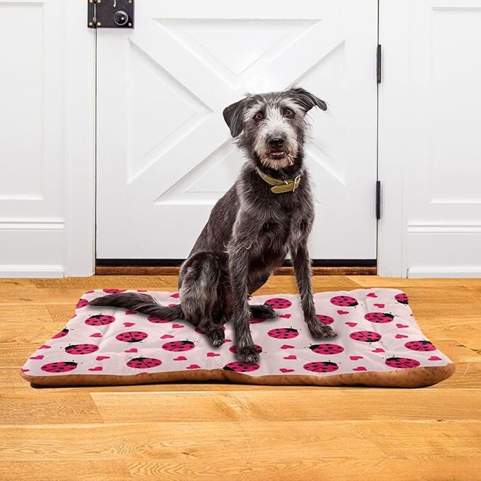 Ladybug Hearts Pet Bed Cute Dog Bed Mat Absorbing Non Slip Pad Pet Sleeping Mat for Small, Medium, and Large Dogs Puppy Cat 24 in x 18 in