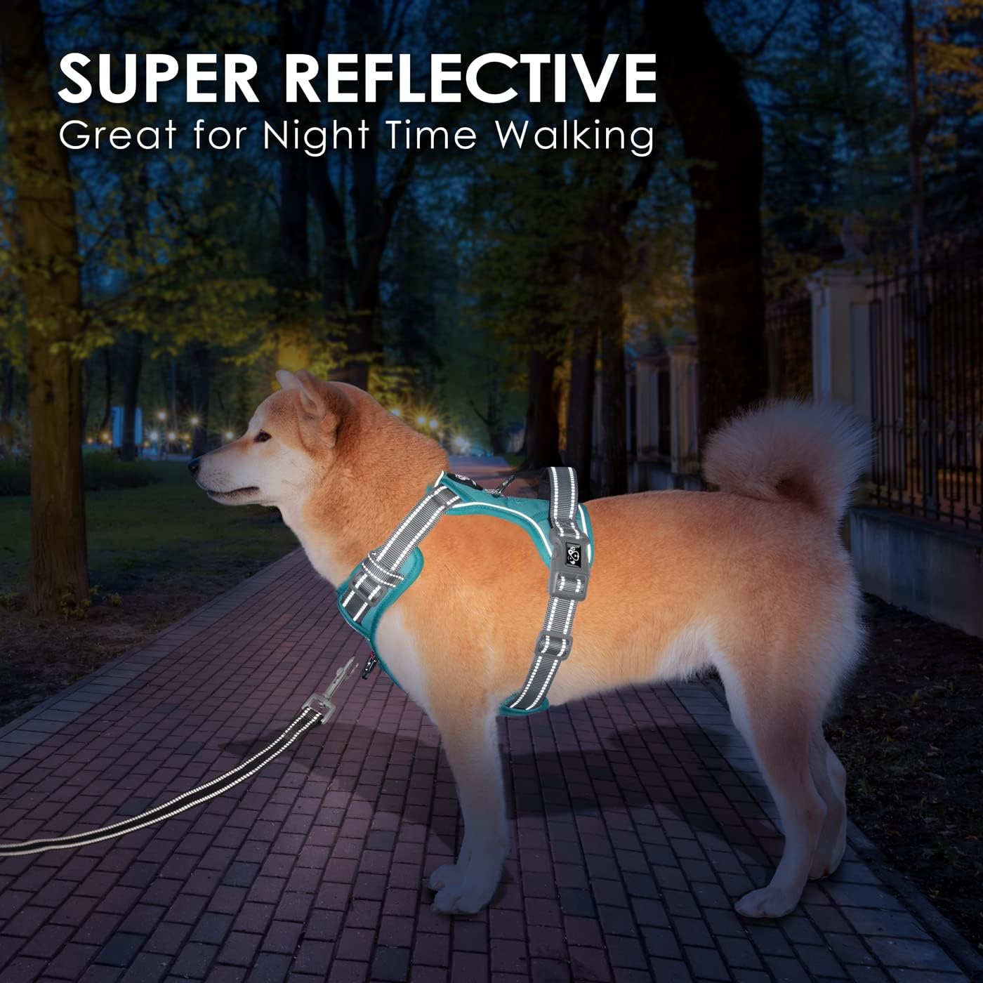 PHOEPET No Pull Dog Harness, Unique Colors Reflective Adjustable Dog Vest, with Soft Training Handle Metal Clips for Small Medium Large Dogs (Mint Green Base & Grey Straps,S)