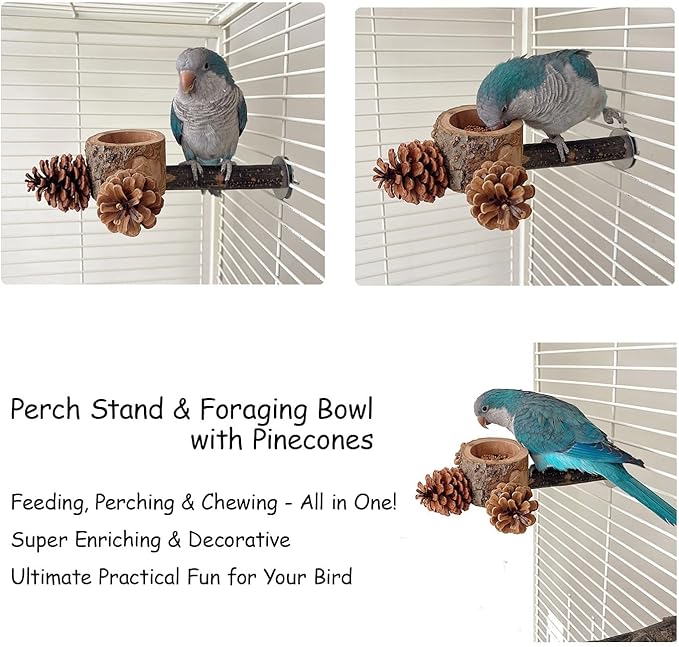 Bird Perch with Feeder for Cage & Chew Toys Pinecones - Bird Cage Accessories 100% Natural & Durable for Cockatiel, Conure, Budgie, Lovebird, Parakeet - Parrot Food Treats Bowl for Foraging