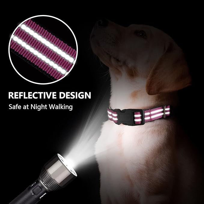 Martingale Dog Collar, Adjustable Nylon Reflective Collar with Buckle No Pull Dog Collar for Small Medium Large Dogs (Pink S)