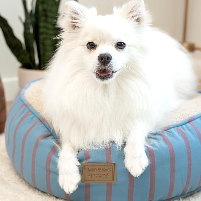 Harry Barker Striped Pillow and Lounger Dog BEDS, Sherpa Pouf Bed