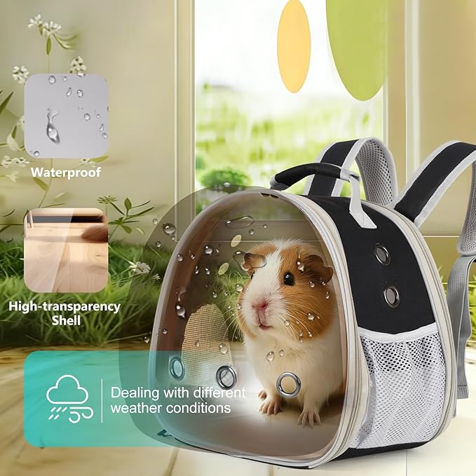 Back Expandable Backpack for Small Animals, Portable Travel Bag Breathable Pet Carrier Cages for Bunny, Guinea Pig, Bearded Dragon, Lizard, Rabbit, Squirrel, Tortoise, Kitten, Sugar Glider